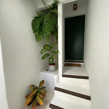 別荘 Casa Cesar アリア